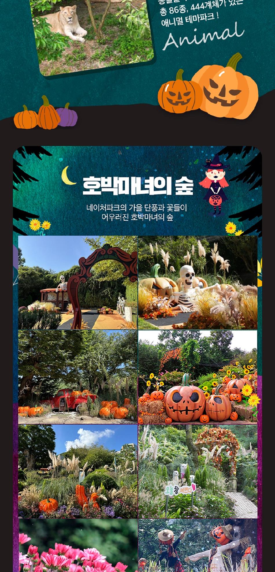 상품 상세 이미지 9