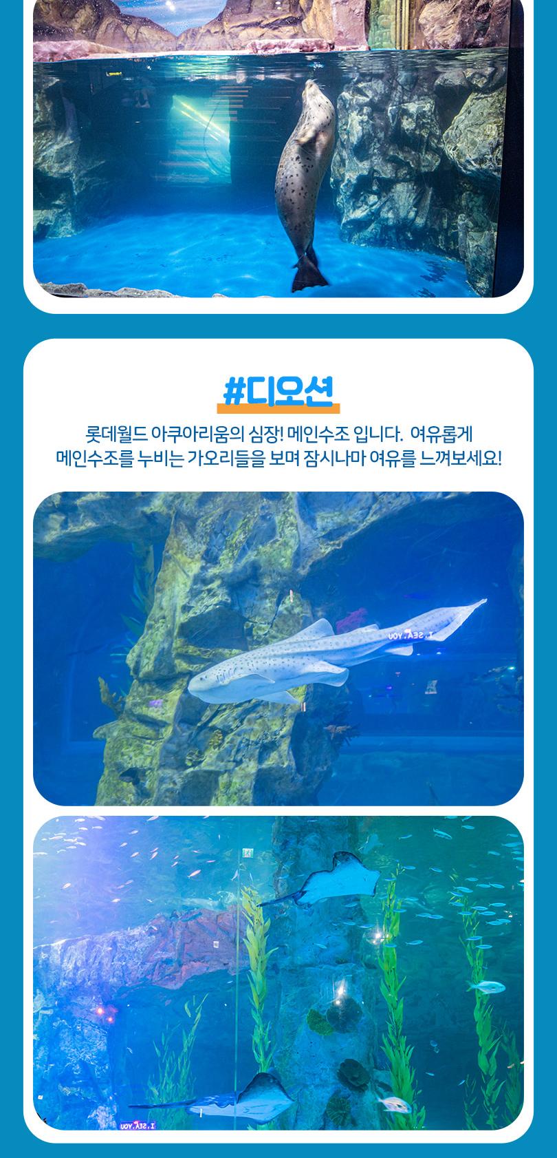 상품 상세 이미지 14