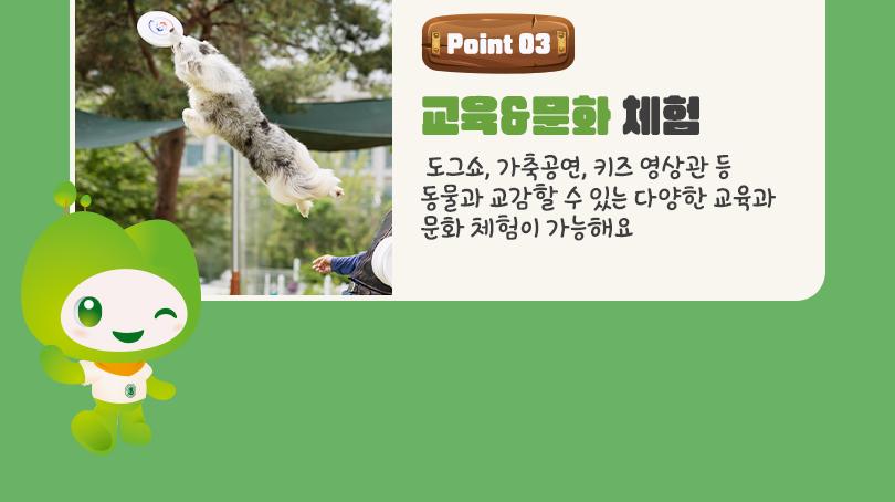 상품 상세 이미지 7