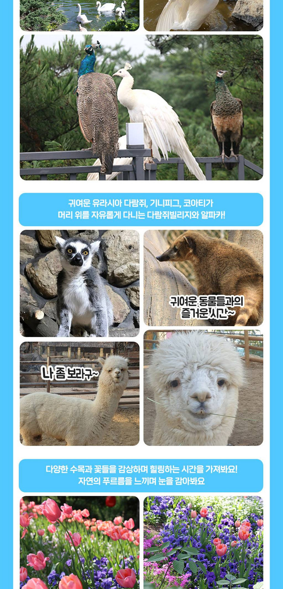 상품 상세 이미지 4