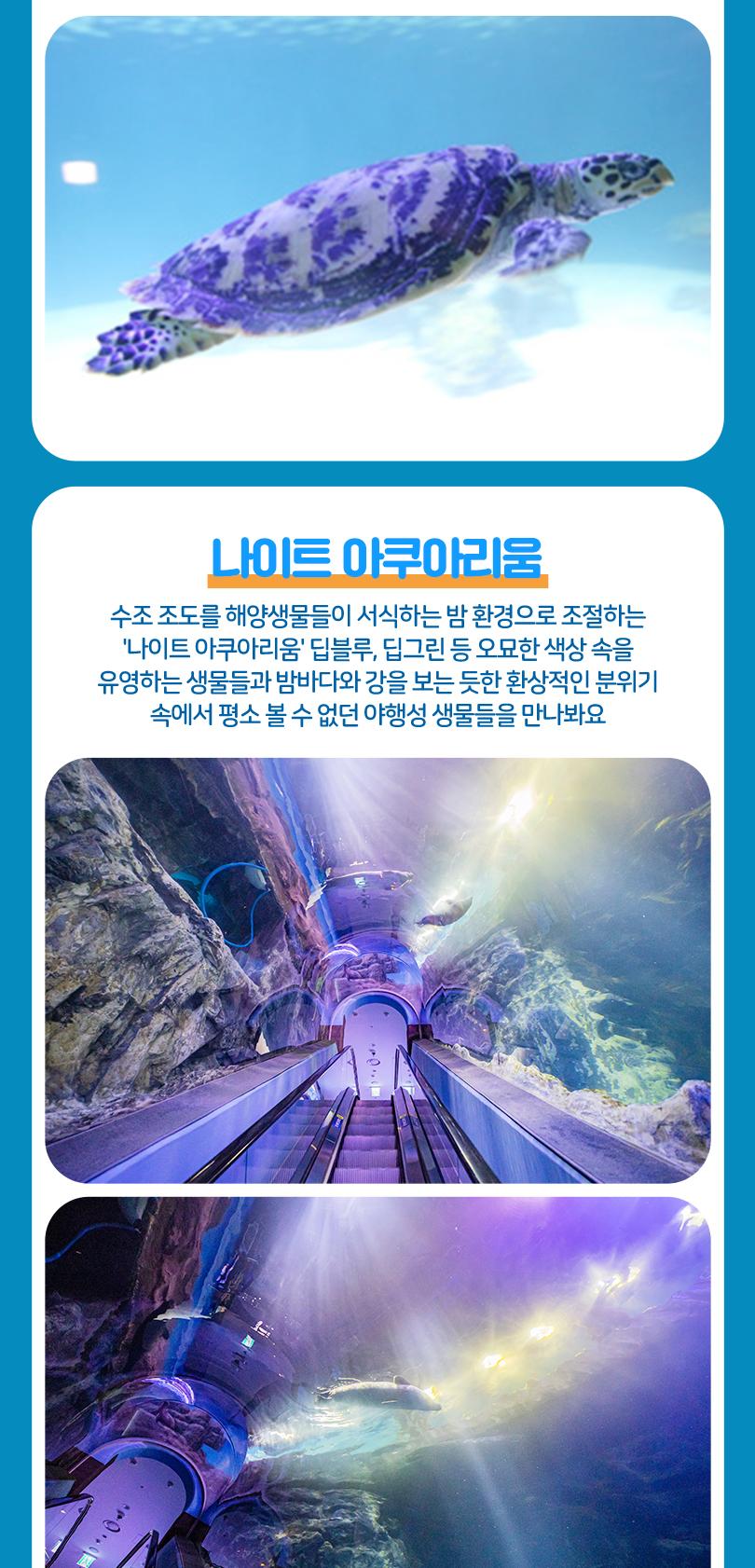 상품 상세 이미지 21