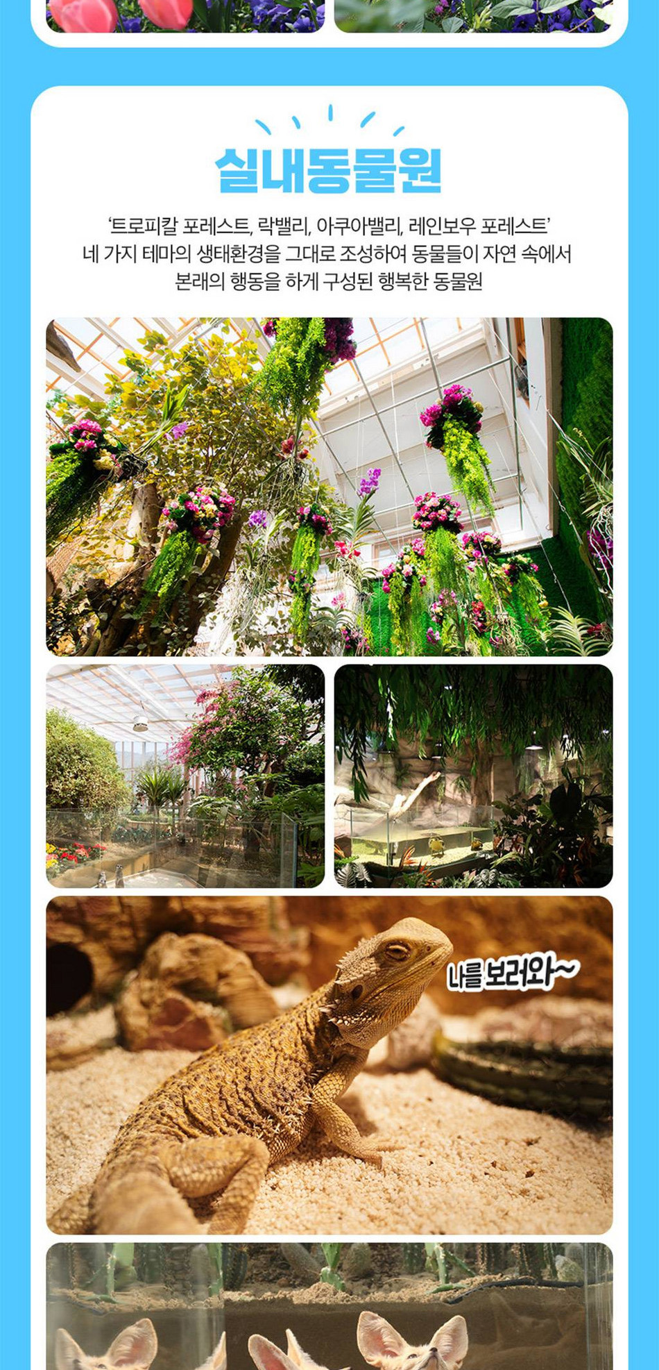 상품 상세 이미지 5