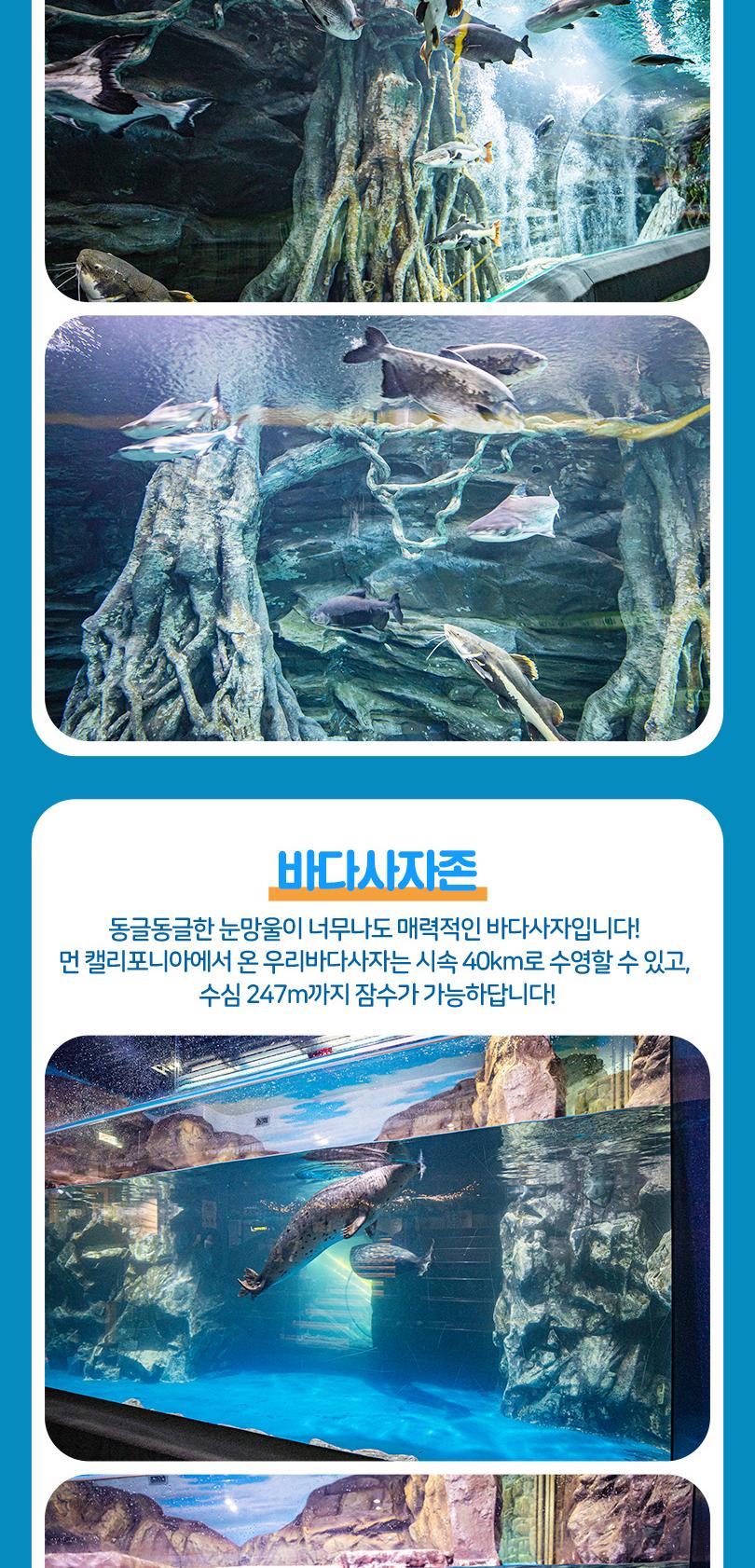 상품 상세 이미지 13