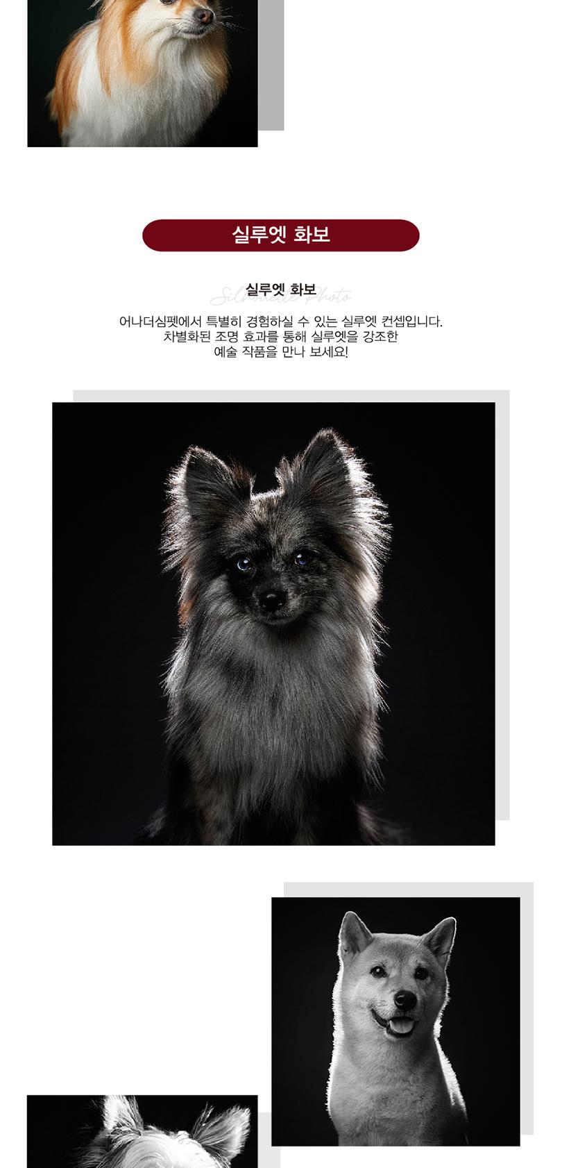 상품 상세 이미지 4