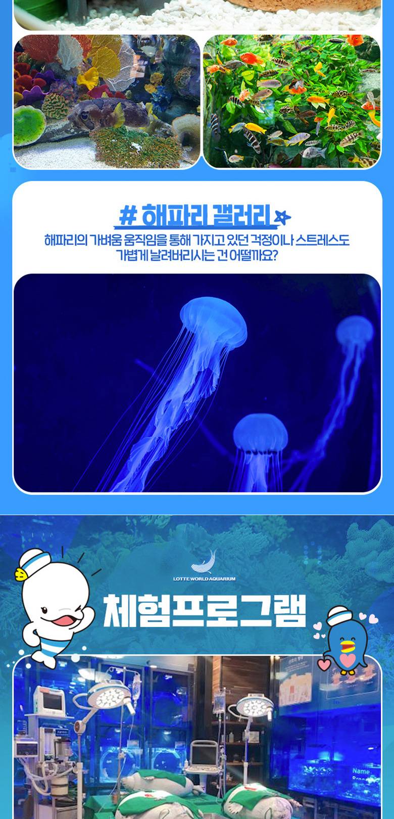 상품 상세 이미지 11