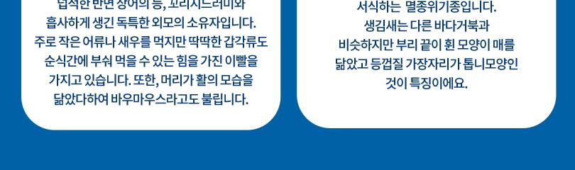 상품 상세 이미지 11