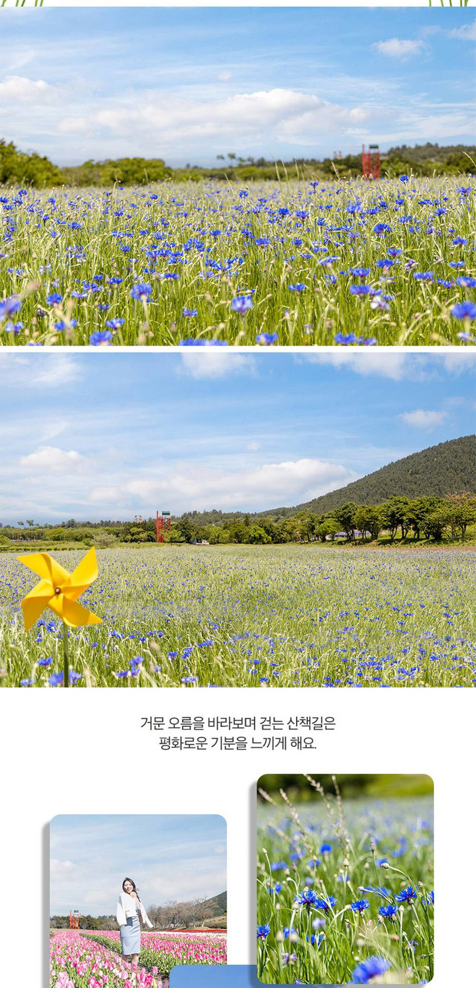 상품 상세 이미지 21