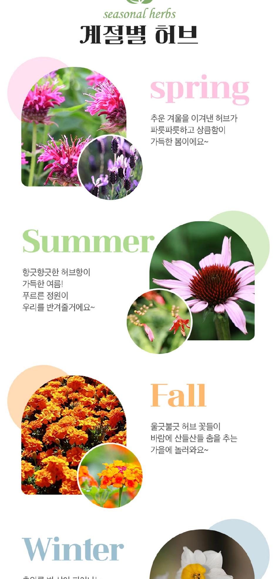 상품 상세 이미지 7