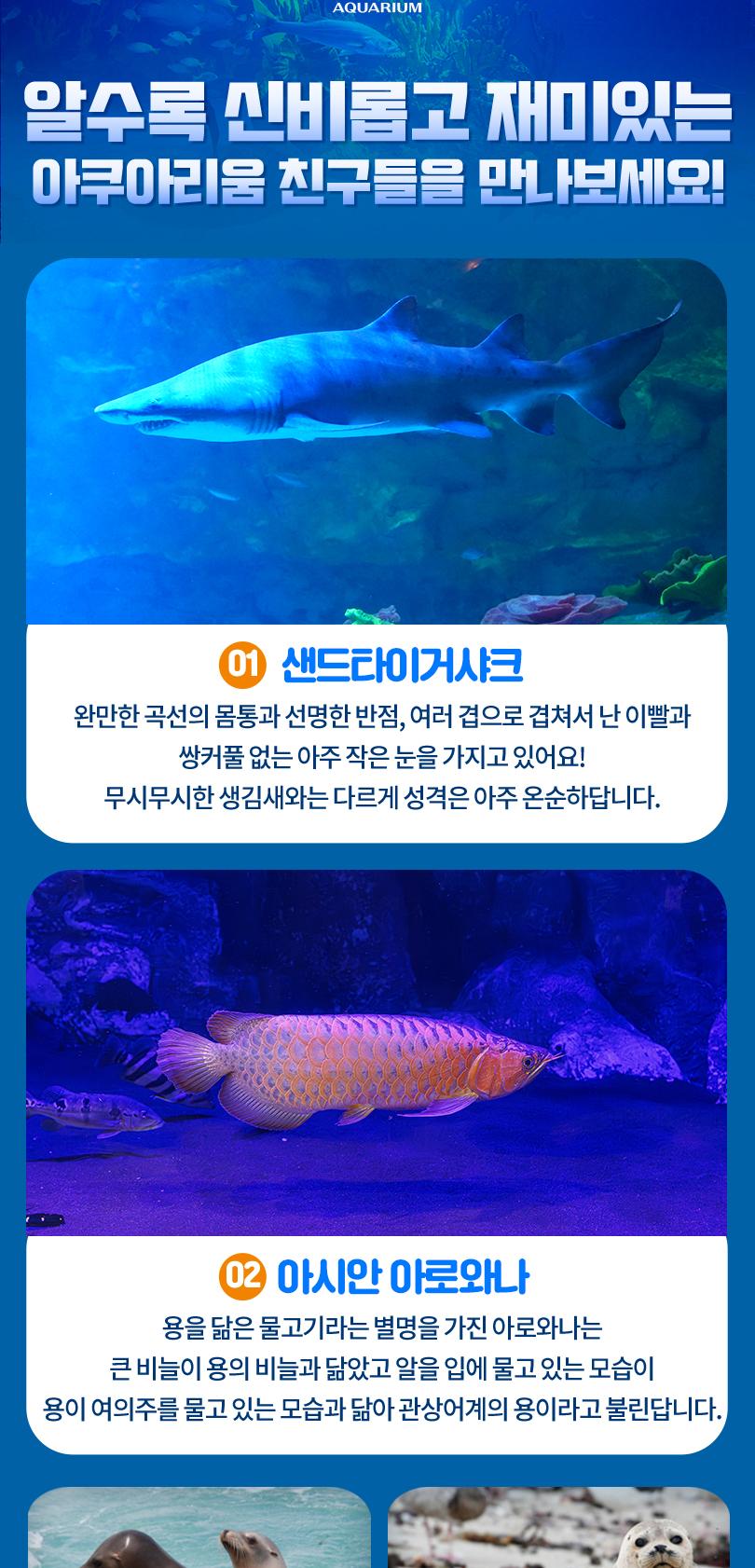 상품 상세 이미지 9