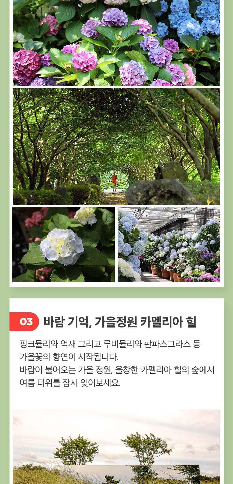 상품 상세 이미지 6