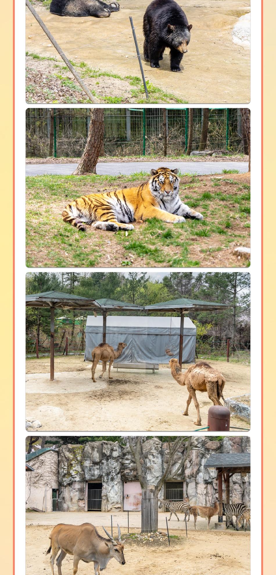 상품 상세 이미지 8