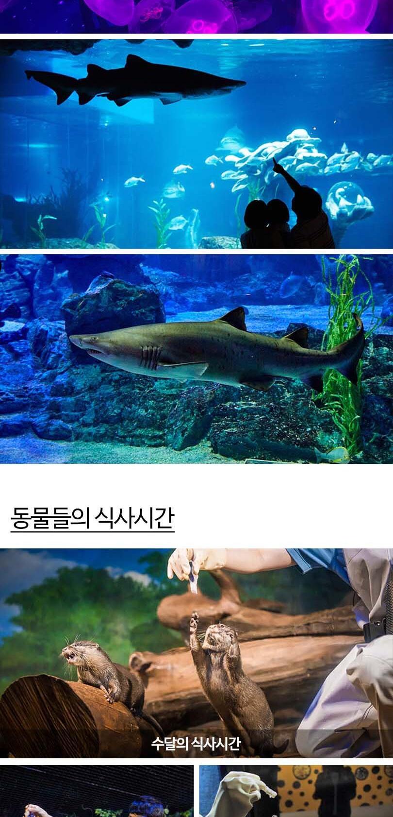 상품 상세 이미지 11