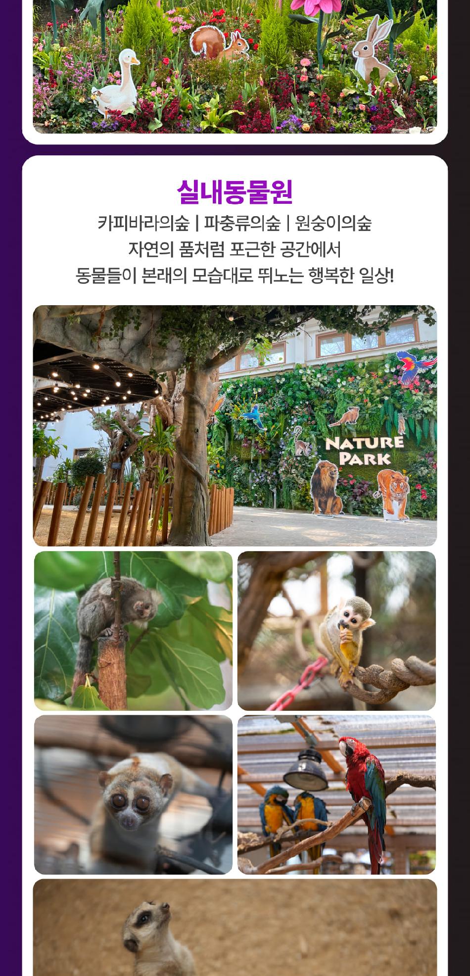 상품 상세 이미지 14