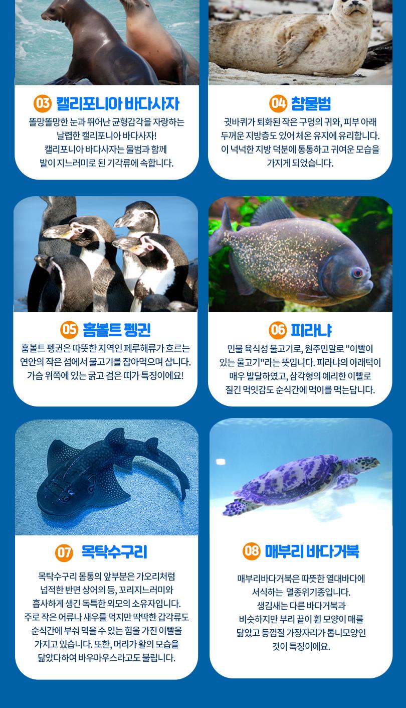 상품 상세 이미지 8