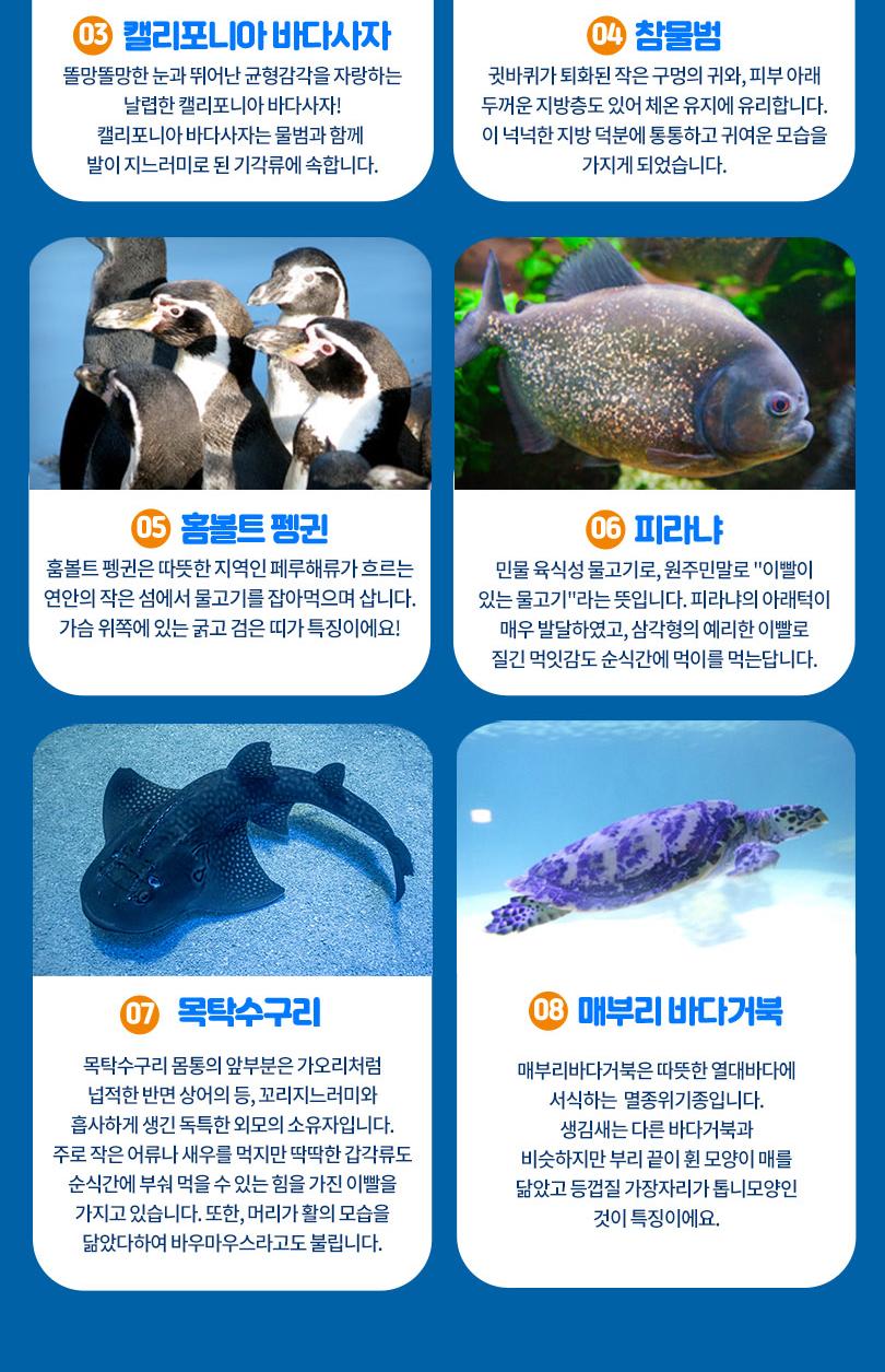 상품 상세 이미지 11