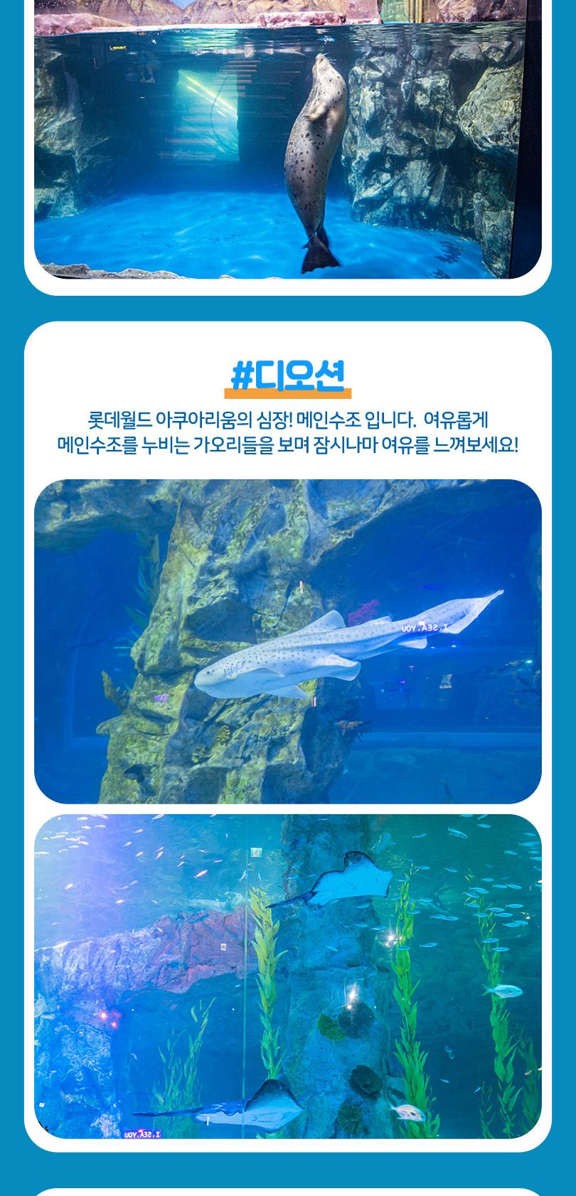 상품 상세 이미지 15