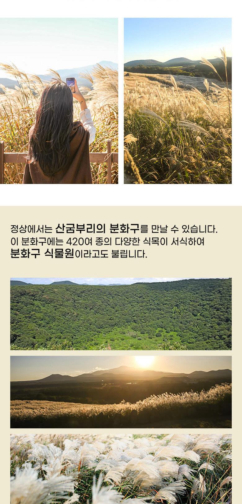 상품 상세 이미지 4