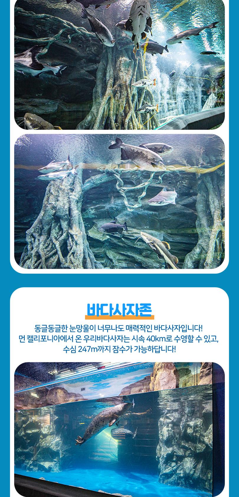 상품 상세 이미지 11