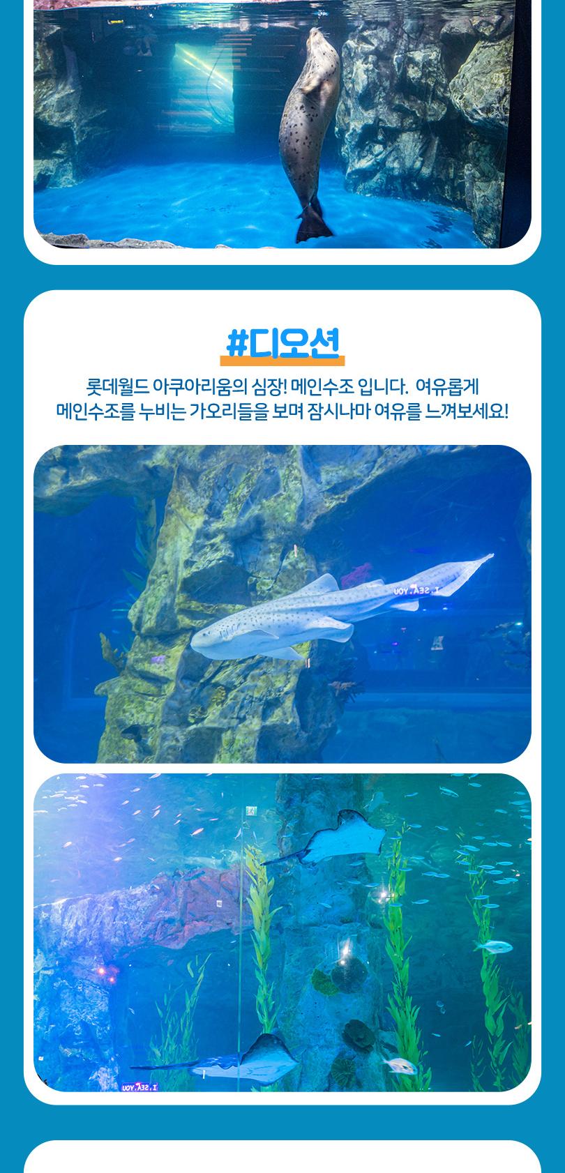 상품 상세 이미지 14