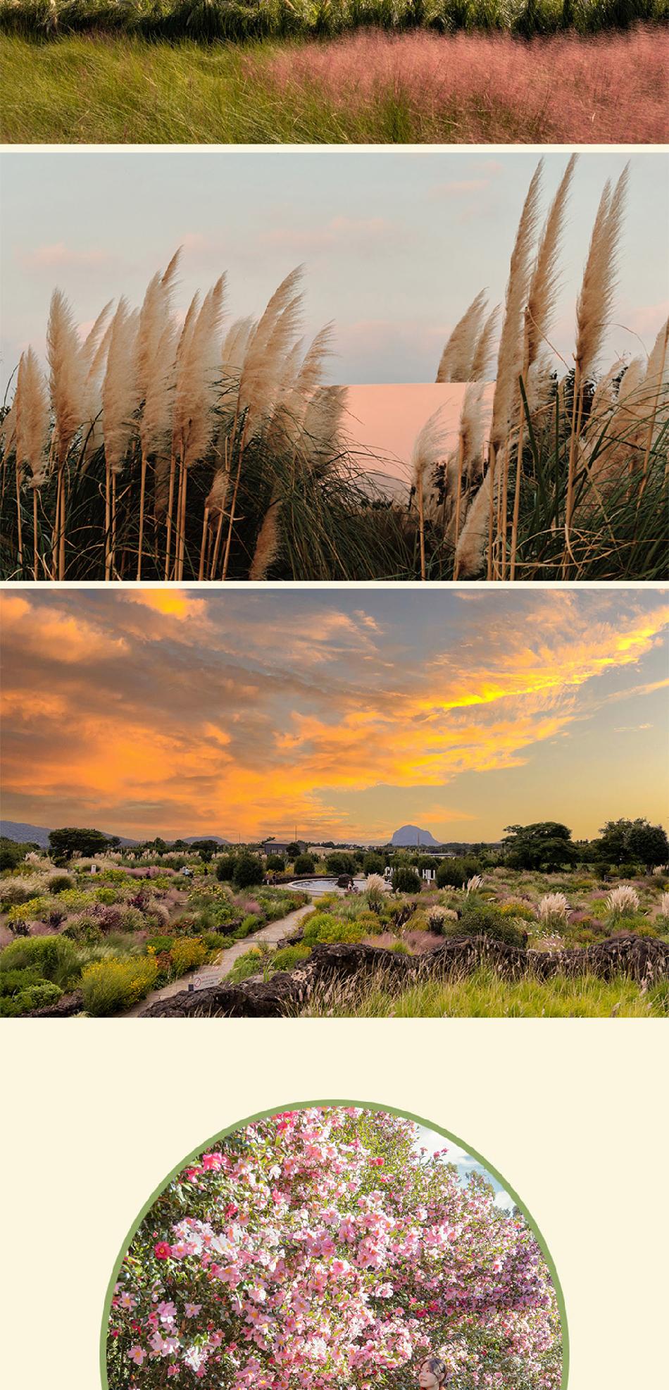 상품 상세 이미지 13