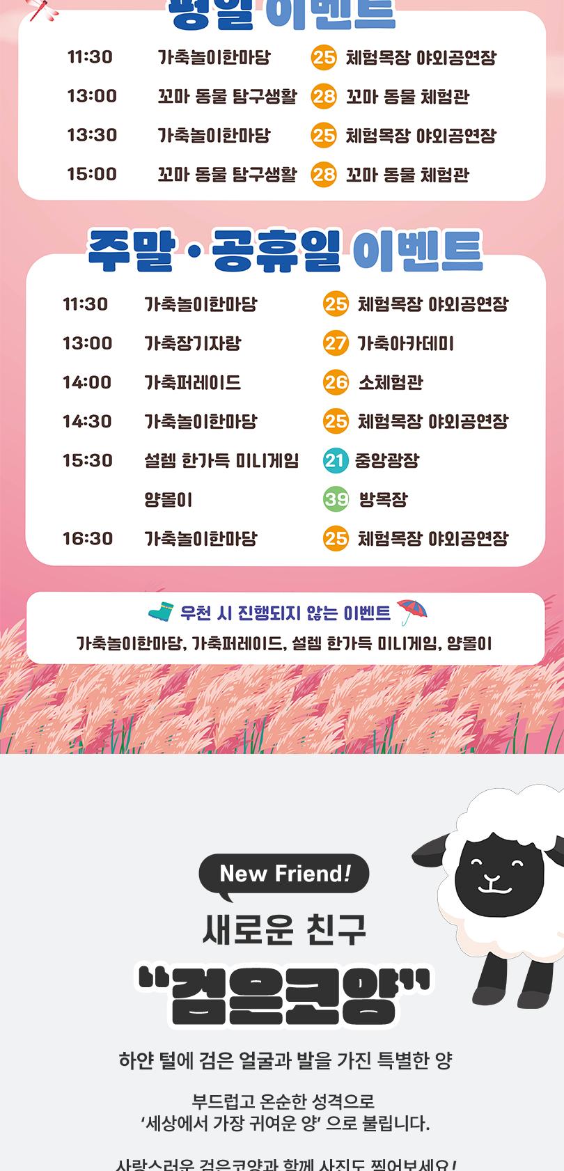 안성팜랜드 입장권 + 레이싱카트 패키지