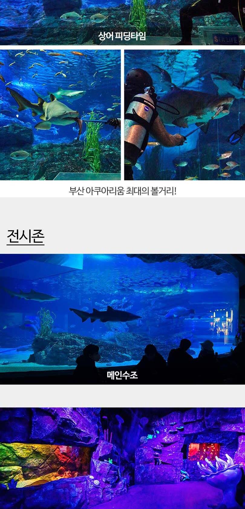 상품 상세 이미지 13