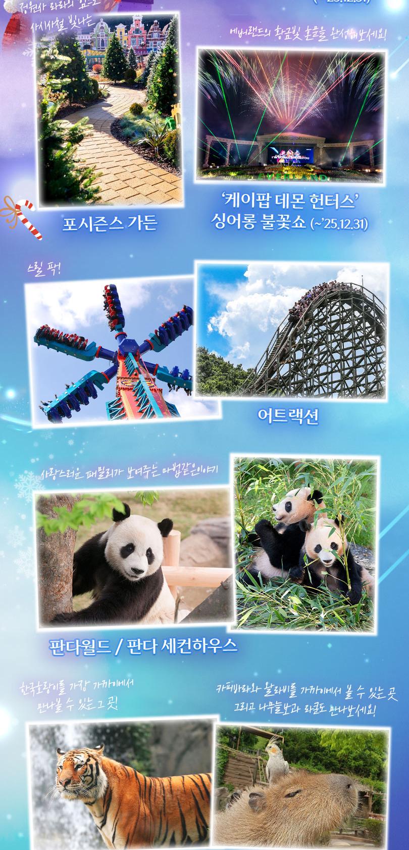 상품 상세 이미지 5