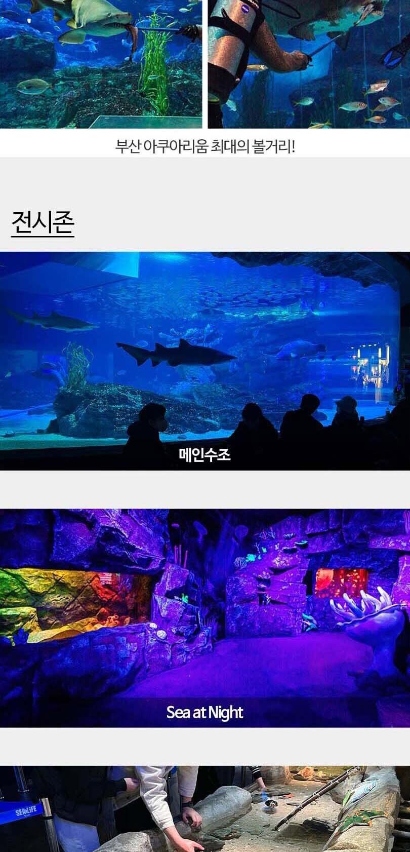 상품 상세 이미지 13