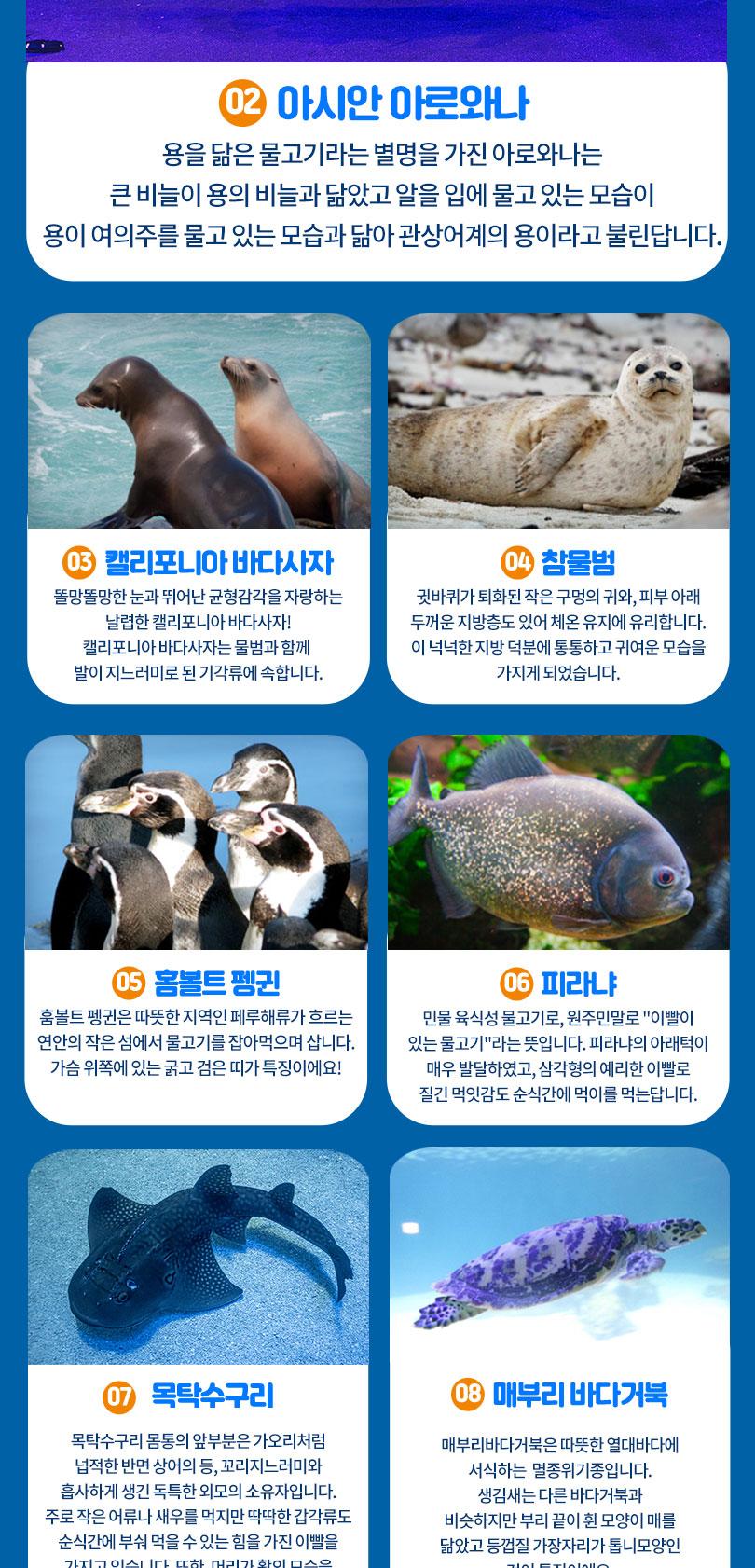 상품 상세 이미지 10