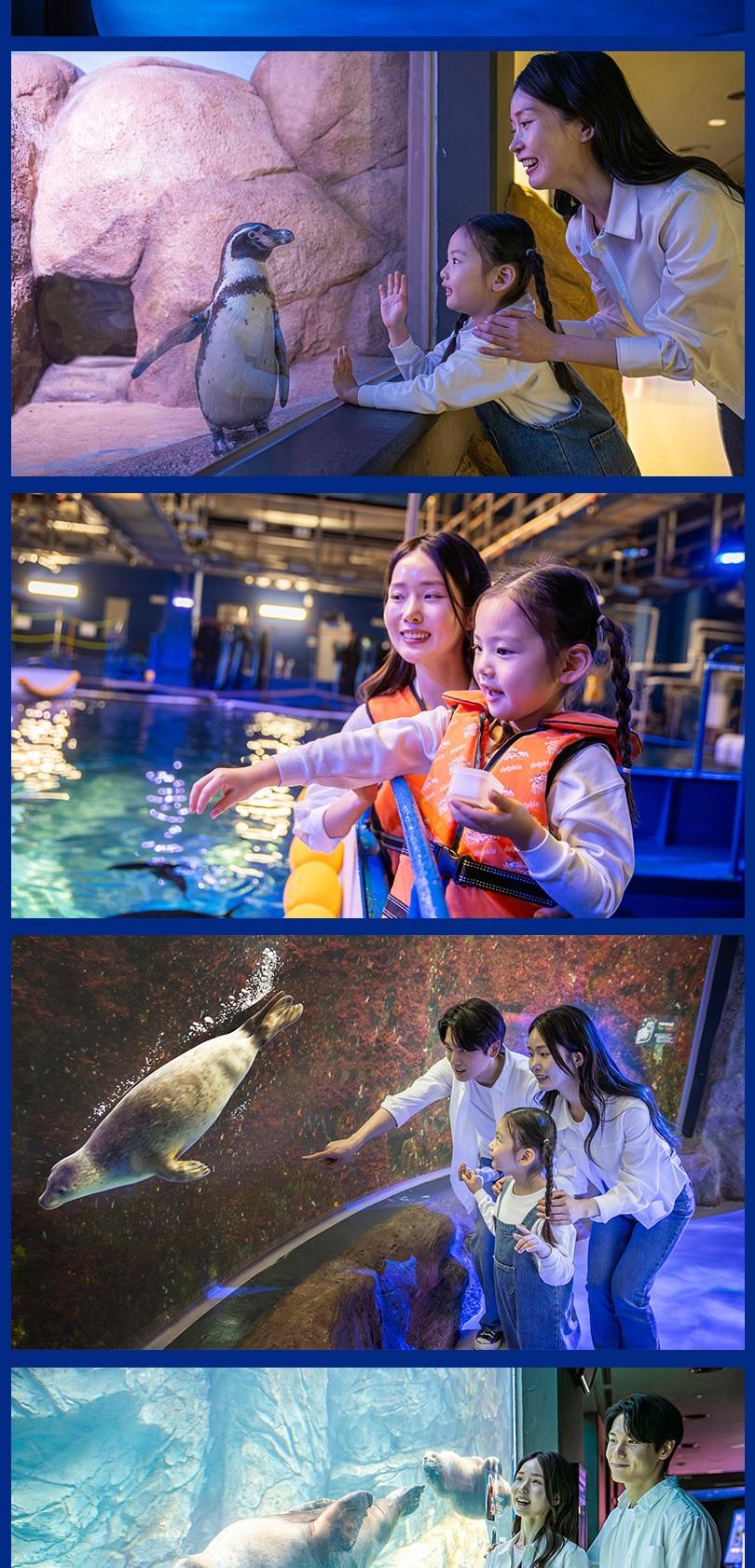 상품 상세 이미지 7