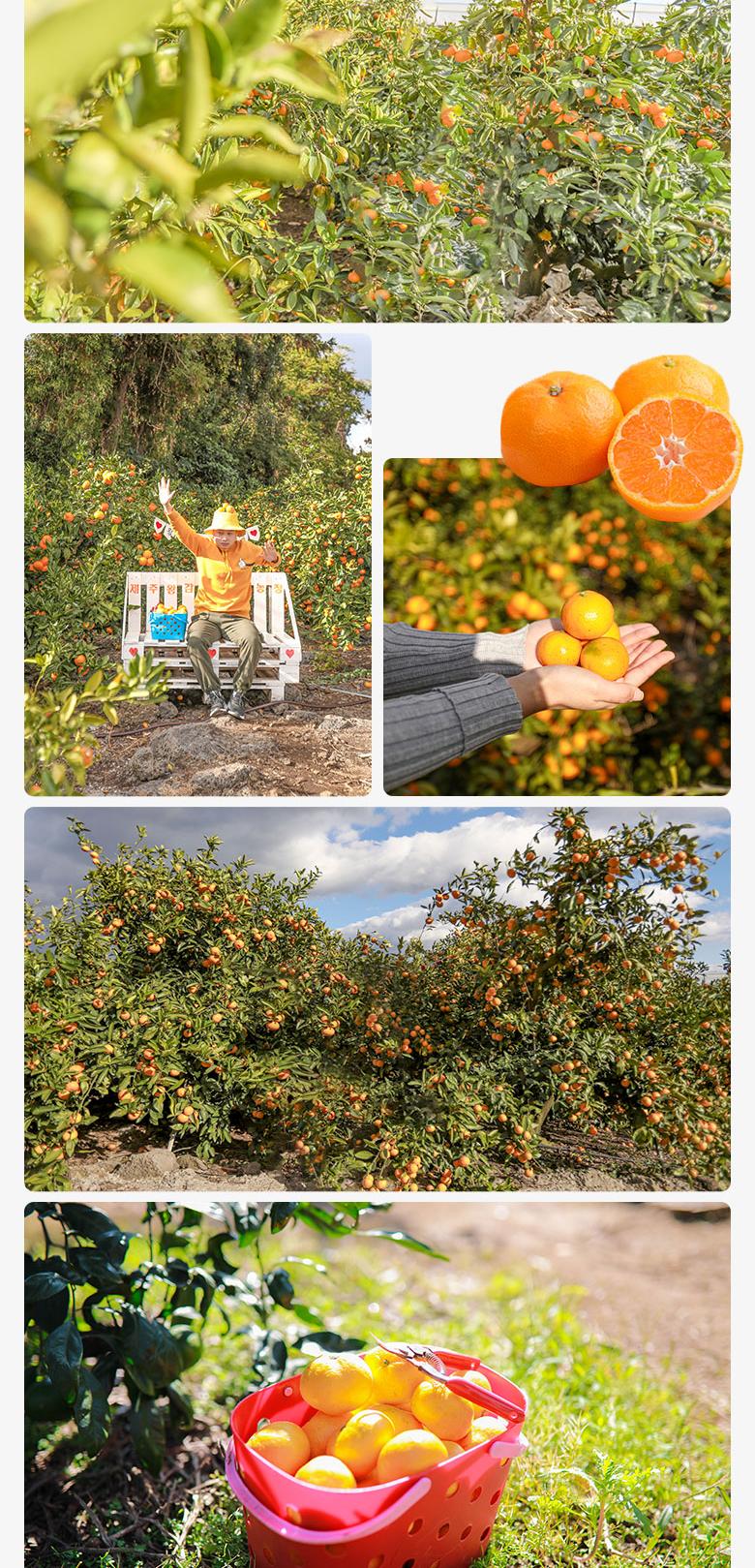 상품 상세 이미지 3