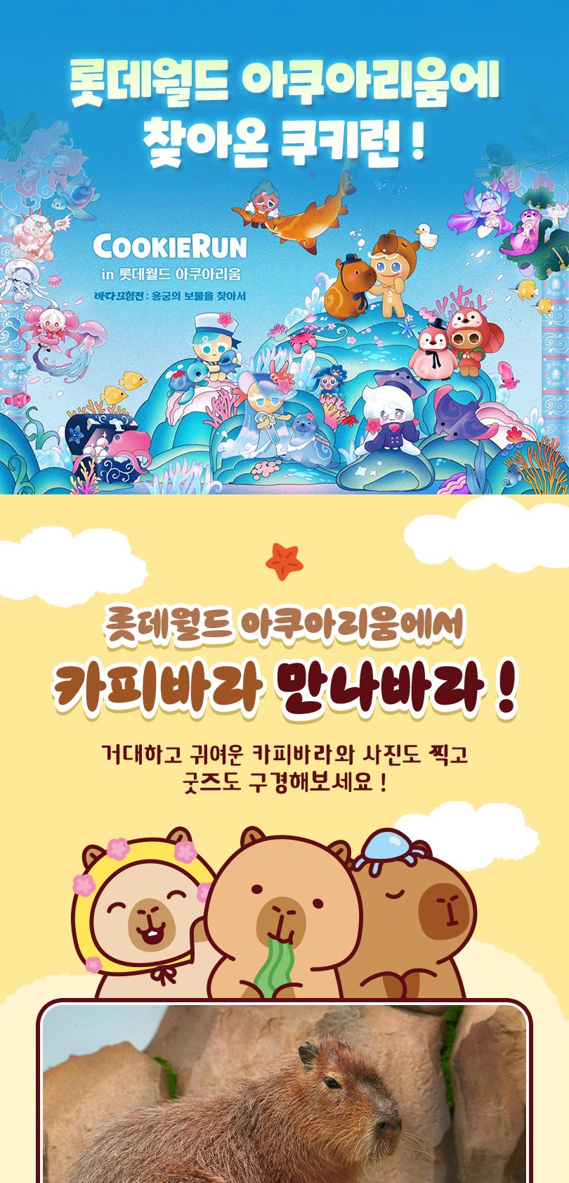 상품 상세 이미지 6