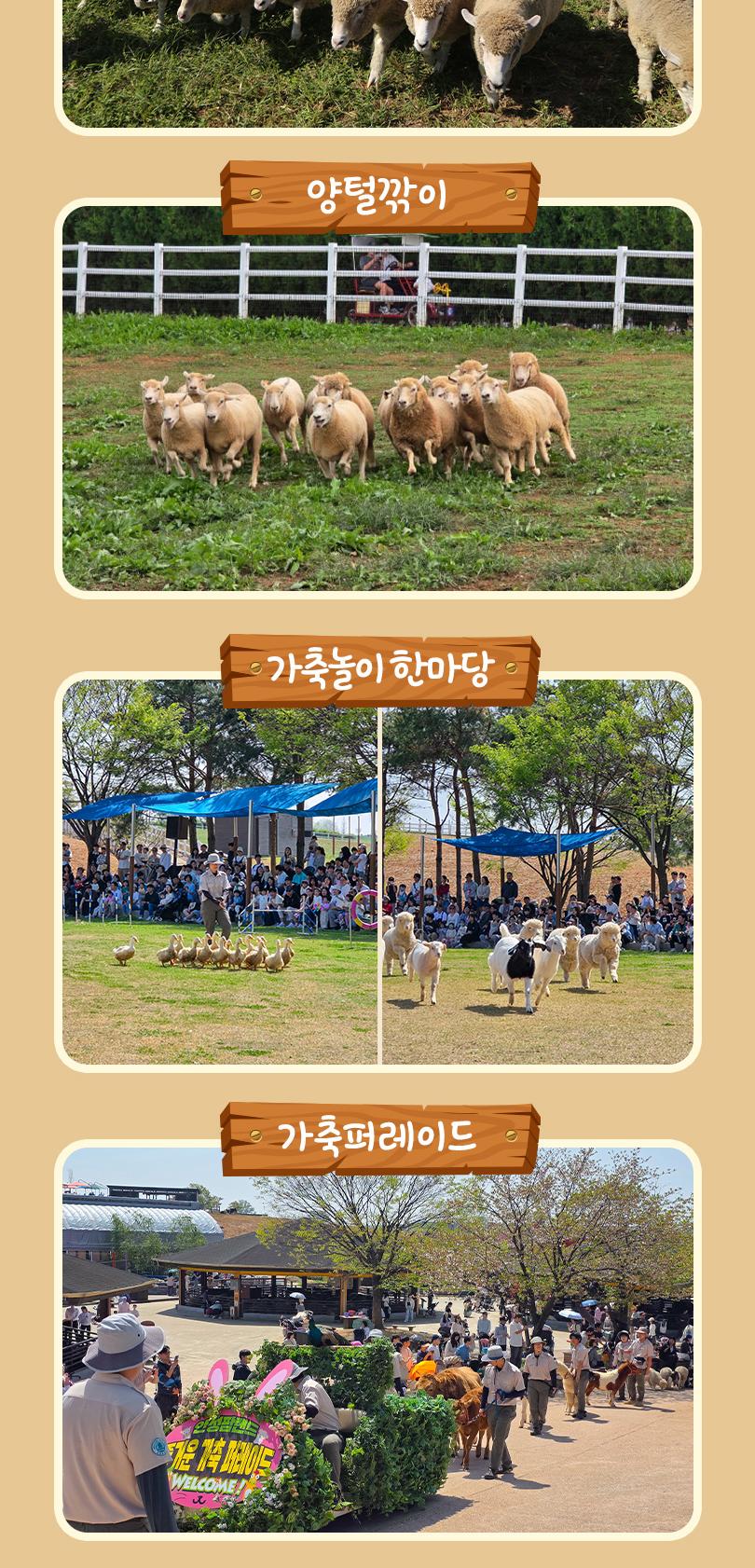 상품 상세 이미지 12