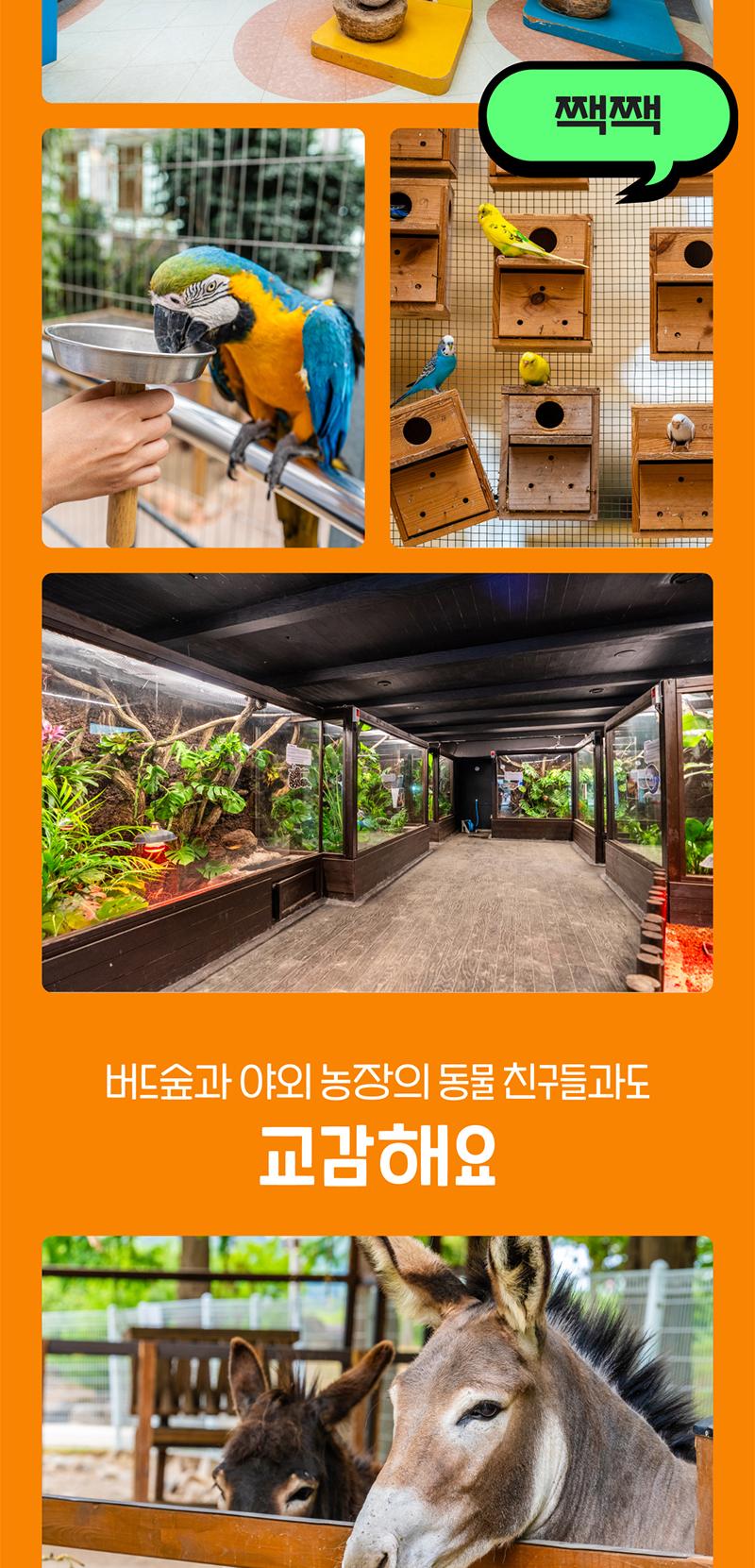 상품 상세 이미지 8