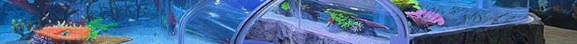 preview-detail