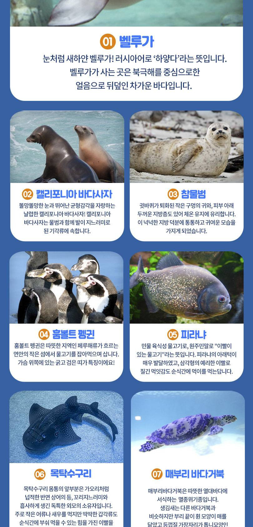 상품 상세 이미지 5