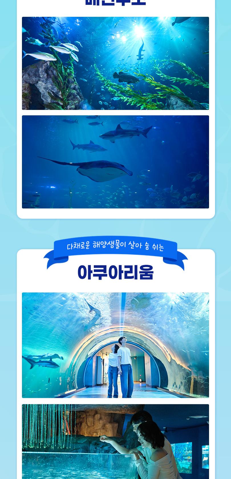 상품 상세 이미지 13