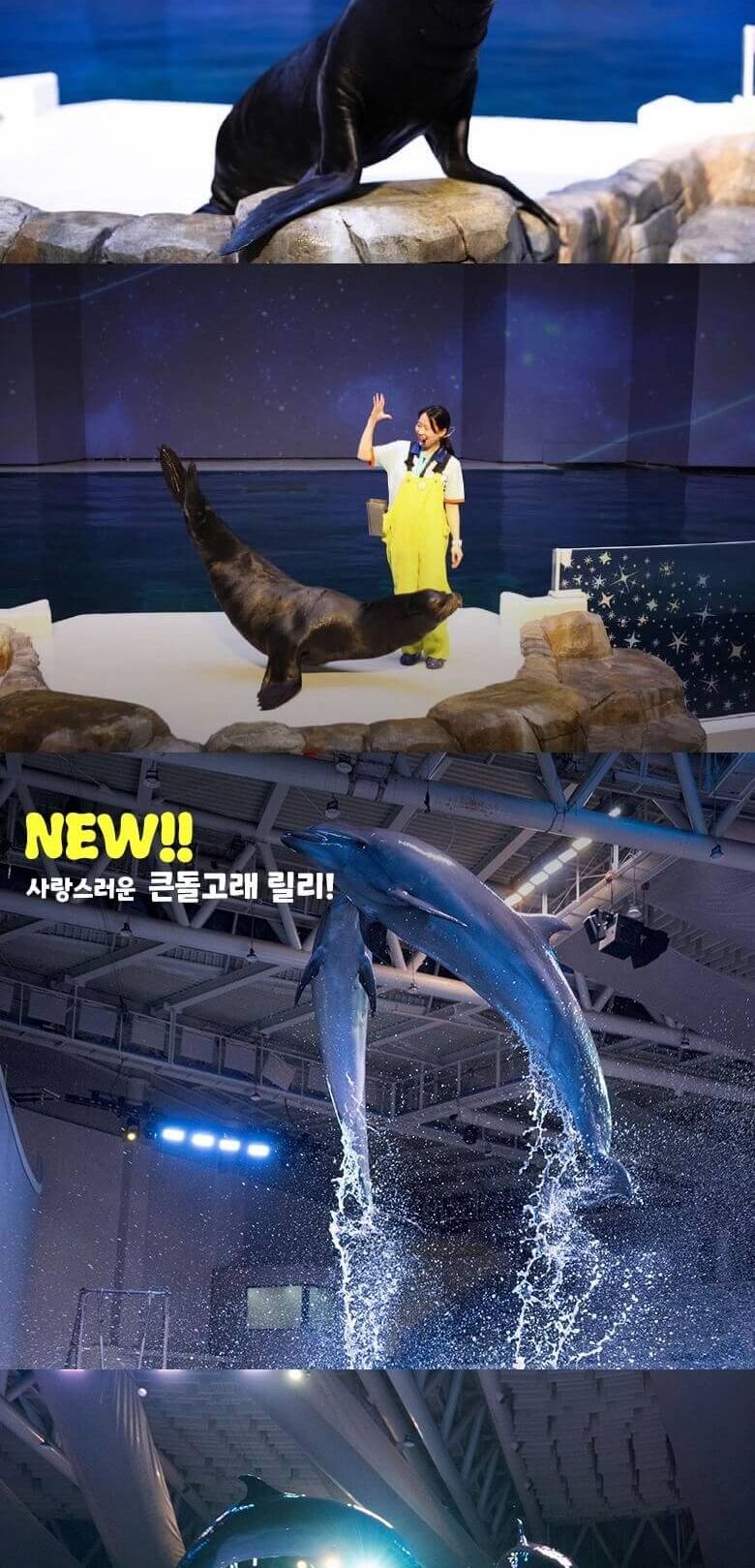 상품 상세 이미지 11