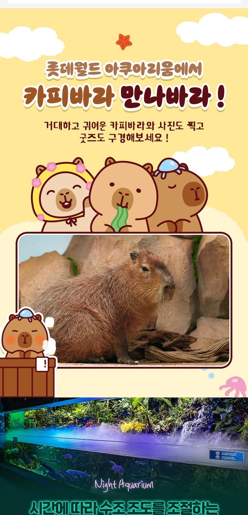상품 상세 이미지 5