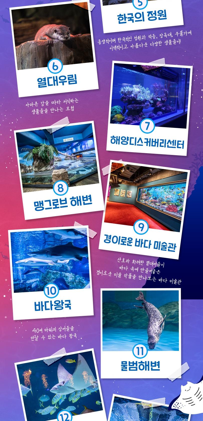 상품 상세 이미지 8