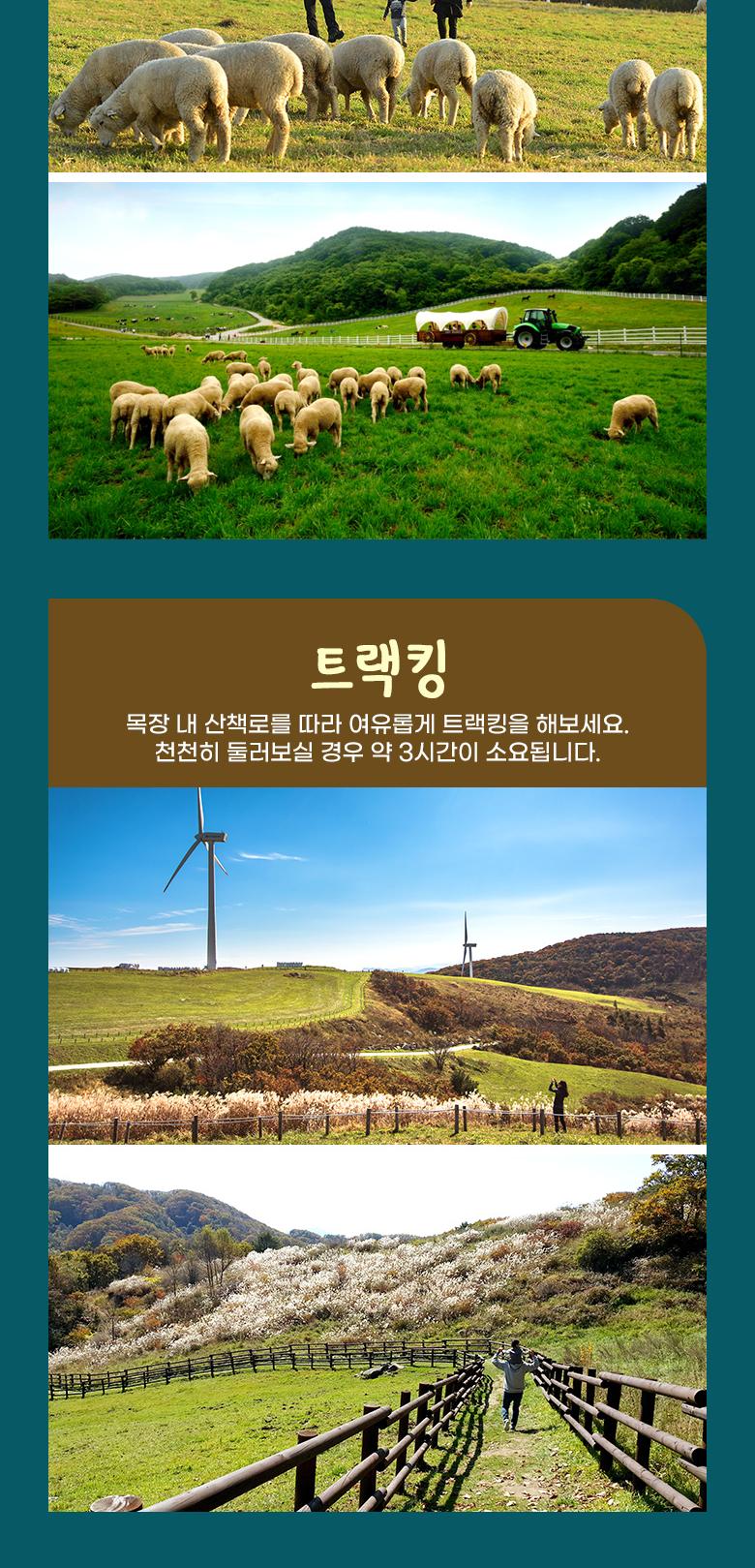 상품 상세 이미지 5