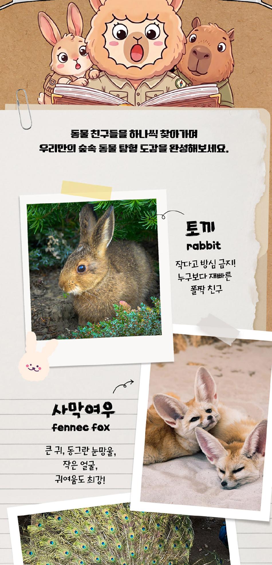 상품 상세 이미지 13
