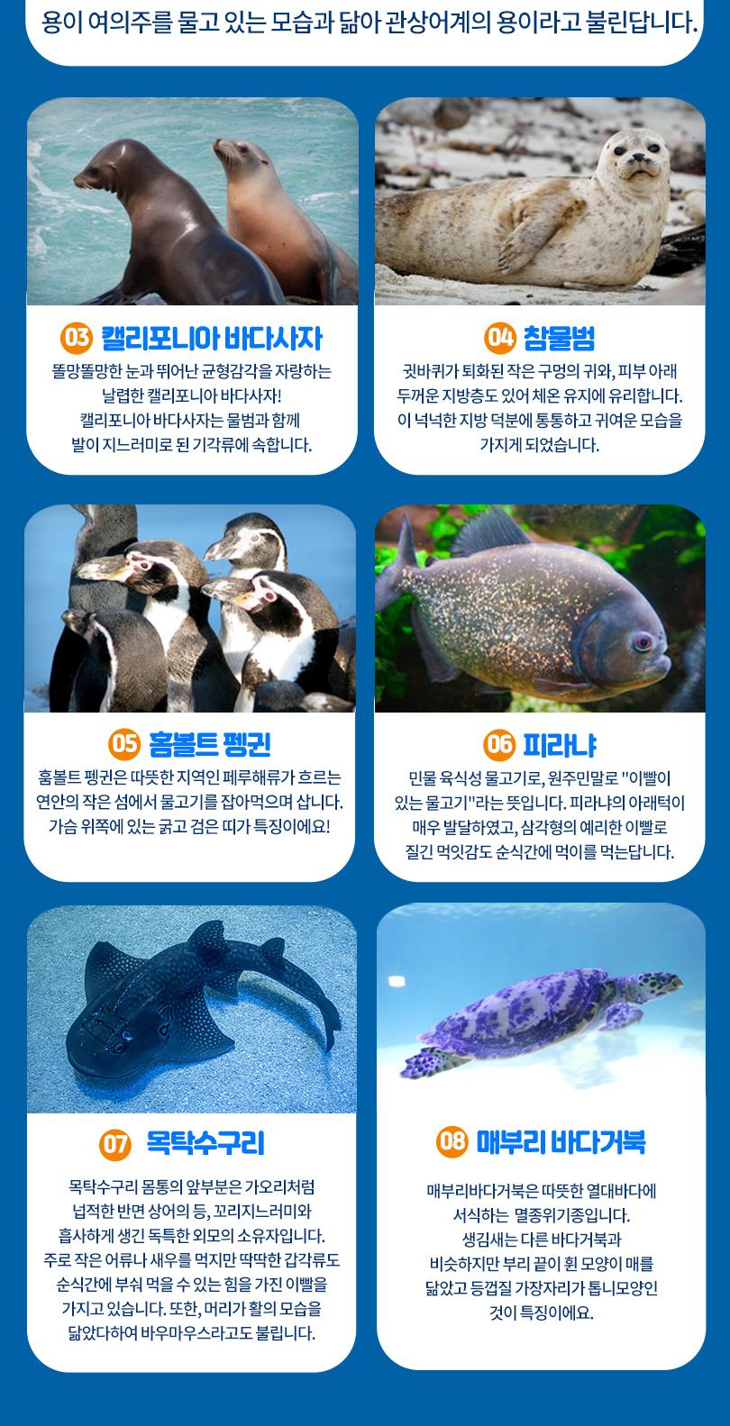 상품 상세 이미지 12