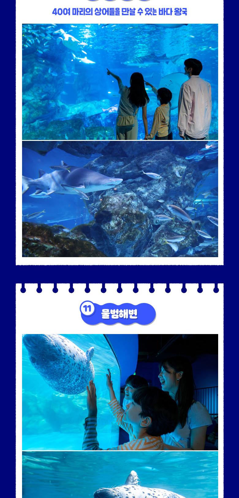 상품 상세 이미지 16