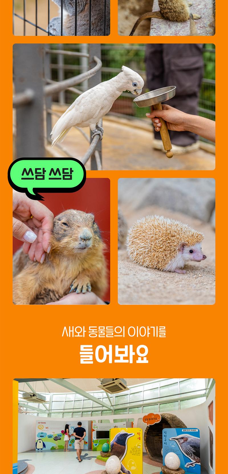 상품 상세 이미지 7