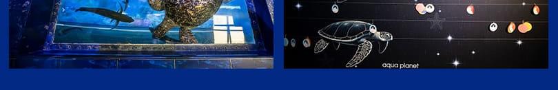 상품 상세 이미지 13