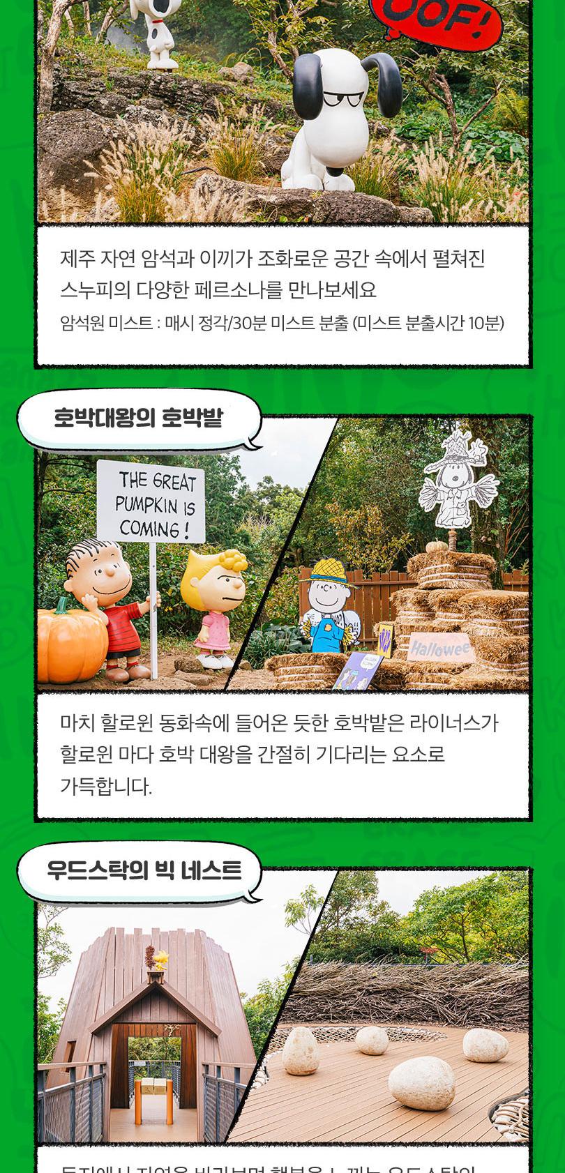 상품 상세 이미지 12