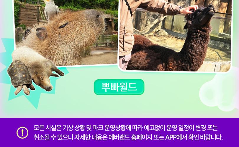 상품 상세 이미지 19