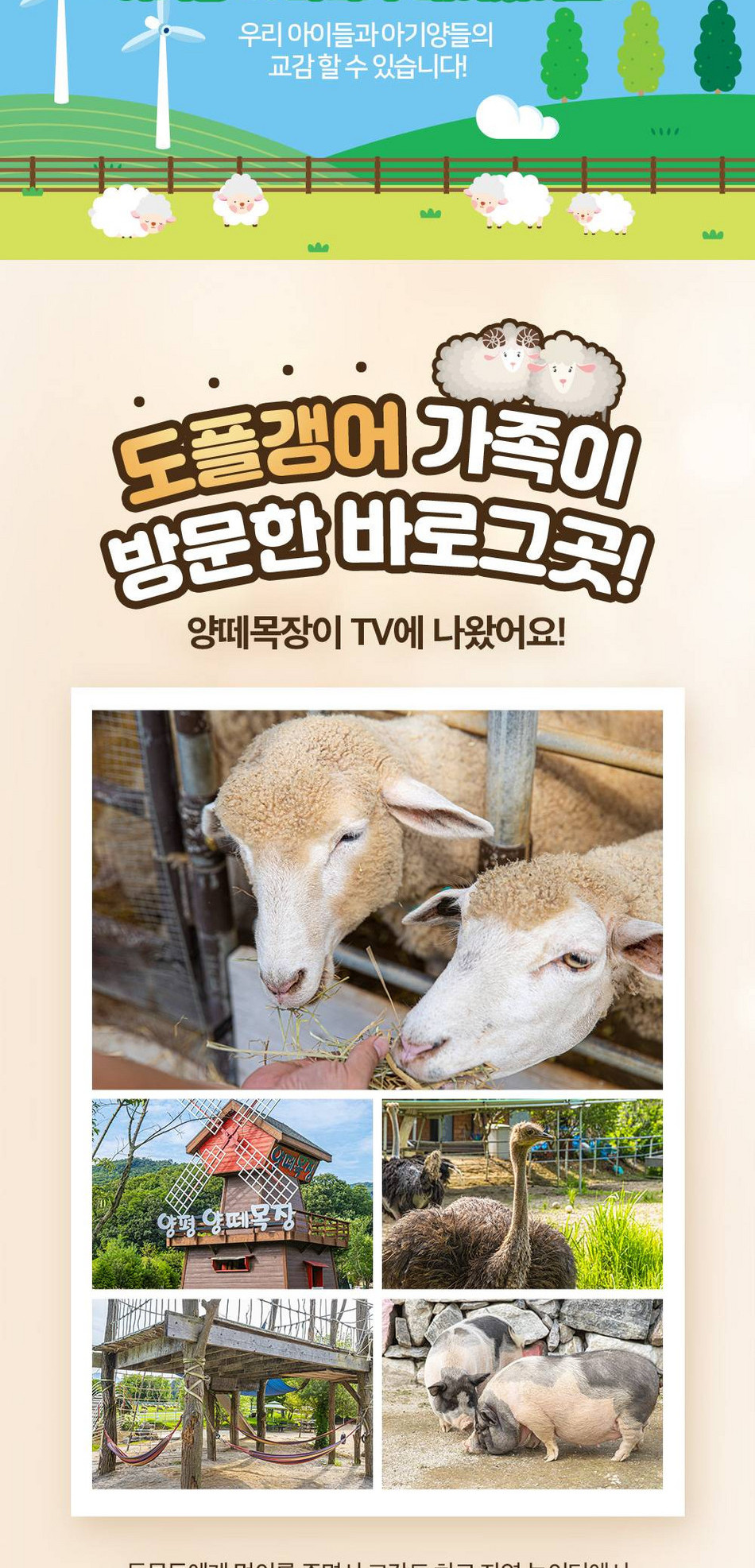 상품 상세 이미지 3