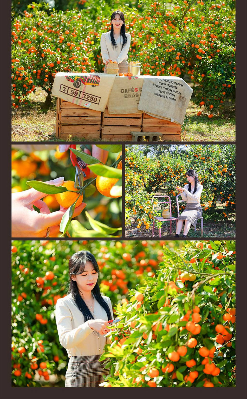 상품 상세 이미지 5